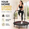 Trampoline, Portable Foldable Trampoline in-Home Mini Rebounder, Exercise Trampoline for Adults, 40" Max Load 330lbs (40" Black Adjustable Foam Handle) view 3