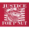 XX-Large Red Mens Justice for P'nut The Squirrel American Flag T-Shirt view 4