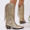 Women's Sparkle Silver Cowboy Boots - Glitter Sequin Fringe Boots with Pointy Toe & Stiletto Heel, Perfect for Disco Cowgirl Outfits & Parties (Gold, Adult, Women, 7.5, Digital, US Shoe System, Medium (Medium)) view 3