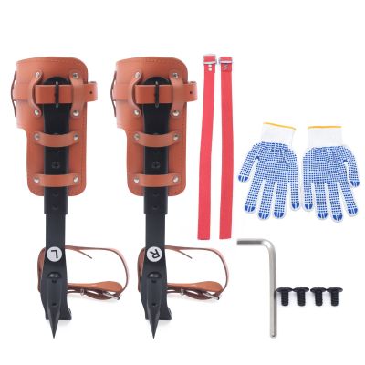 Bokknppo Tree Climbing Spikes Set Stainless Steel Cow Leather Tree Climbing Gear Pole Height Adjustable Tree Climbing Tool with Safety Belt Gloves for Outdoor Jungle Survival Fruit Picking (Orange-2)