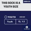For Bare Feet - NFL MVP Classic Team Logo Youth Size Kids Crew Socks Approx. 4-8 years old - Dallas Cowboys America's Team view 3