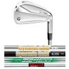 Build a Custom TaylorMade 2021 P790 Iron or Wedge (Dynamic Gold 105 Onyx, #6, Stiff, Right) view 1