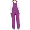 YRAETENM Womens Ski Snow Bibs Pants Winter Insulated Snowboard Overalls Outdoor Waterproof Windproof Adjustable Jumpsuits view 3