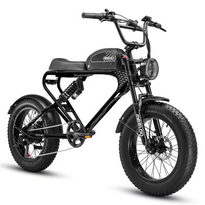 20AH 48V Electric Bike for Adults Peak Value 1200W Electric Motorcycle, 50KM/H Mountain Snow, Sand Dirt Bike, 20*4 Fat Tire, Range 70-160KM, LCD Display, Multiple Shock Absorber Hydraulic Disc Brake