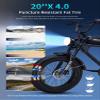 20AH 48V Electric Bike for Adults Peak Value 1200W Electric Motorcycle, 50KM/H Mountain Snow, Sand Dirt Bike, 20*4 Fat Tire, Range 70-160KM, LCD Display, Multiple Shock Absorber Hydraulic Disc Brake view 2