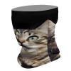 Cat Neck Gaiter Winter Face Mask for Men Women Scarf Face Cover Breathable Balaclava Running Bandana view 3
