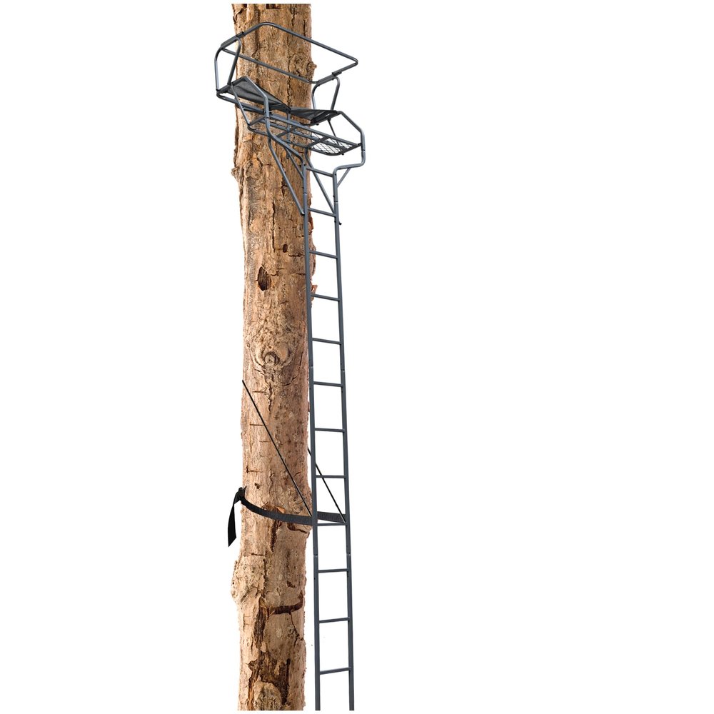 HECASA 2 Person Ladder Stand, 18 Foot Deer Hunting Ladder Climbing Tree Stand, Steel Tree Step with with Mesh Seat and Flip-up Shooting Rail, 500LBS