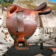 BNB International Australian Stock Horse Saddle English Leather Collection Youth Stockman Bush Rider, Without Horn Hornless Over Girth Under Girth Equestrian Outrider Poly Outback Poley,M38 (16.5)