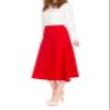 Dani's Choice Elastic Waist A-line Flared Long Skirt (S, Red) view 2