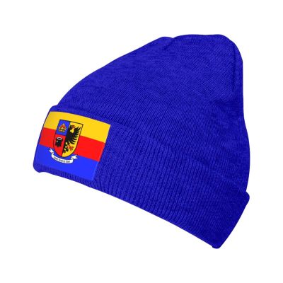 Flag of North Frisia Beanie Hat Acrylic Knit Warm Winter Hats for Women Men Skull Cap Blue