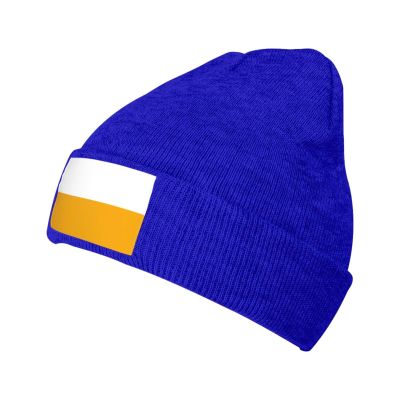 Flag of Armenians in Russia Beanie Hat Acrylic Knit Warm Winter Hats for Women Men Skull Cap Blue