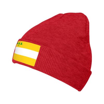 ZKLCRYTR Flag of Meadville, Pennsylvania Beanie Hat Acrylic Knit Warm Winter Hats for Women Men Skull Cap Red