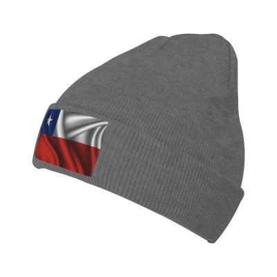 Silk Style Flag of Chile Beanie Hat Acrylic Knit Warm Winter Hats for Women Men Skull Cap Deep Heather