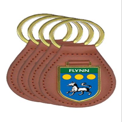 Historic Families Flynn Family Shield Crest Coat of Arms Key Ring