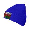 Silk Style Flag of Oman Beanie Hat Acrylic Knit Warm Winter Hats for Women Men Skull Cap Blue view 1