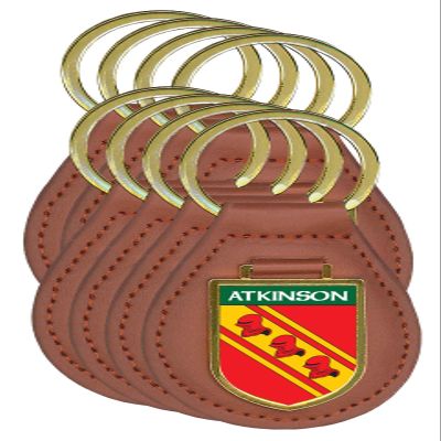 Historic Families Atkinson Family Shield Crest Coat of Arms Key Ring