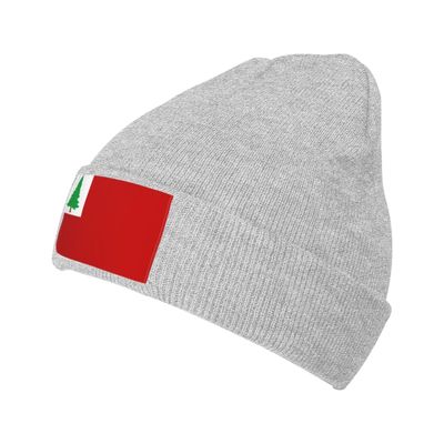 ZKLCRYTR New England Pine Flag Beanie Hat Acrylic Knit Warm Winter Hats for Women Men Skull Cap Gray