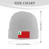 ZKLCRYTR New England Pine Flag Beanie Hat Acrylic Knit Warm Winter Hats for Women Men Skull Cap Gray view 4