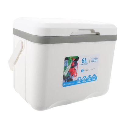 BRIGHTFUFU Portable Insulated Lunchbox Cooler Camping Cooler Box for Outdoor Insulated Food Container Handle