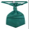 Vesuvio Napoli PreTied ASCOT Paisley Forest HUNTER GREEN Color Cravat Men's Neck Tie view 1