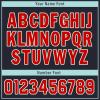 Onegam Custom Ice Hockey Jersey for Men Women Youth, Personalized Team Name Number Logo Practice Training Team Uniform view 4