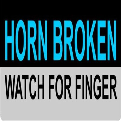 212 Main LPO881 Horn Broken Watch for Finger Photo License Plate