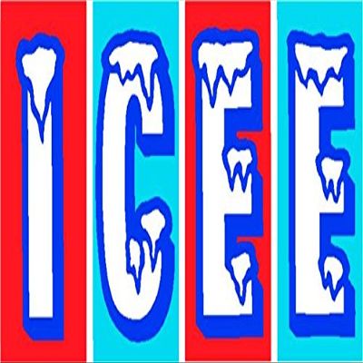 212 Main LPO1642 ICEE Photo License Plate