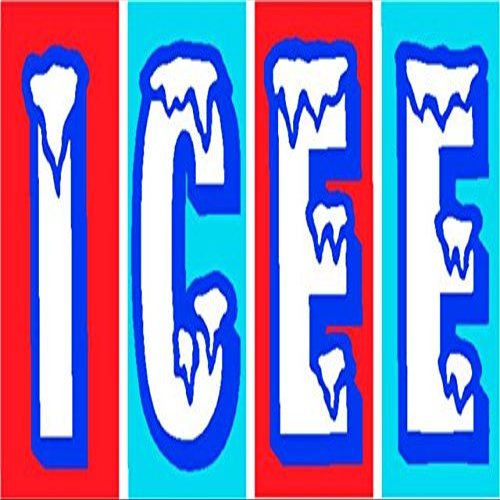 212 Main LPO1642 ICEE Photo License Plate