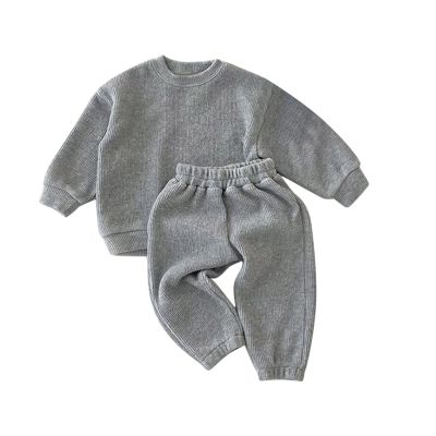 AIMAOMI Toddler Boys Girls Winter Fleece Flannel Tracksuit 2 Piece Set Matching Warm Tracksuit Set (Grey, 6-12 Months)