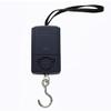 40kg Household Portable Electronic Scale Mini Portable Hanging Scale Hook Scale Luggage Fish Scale view 4