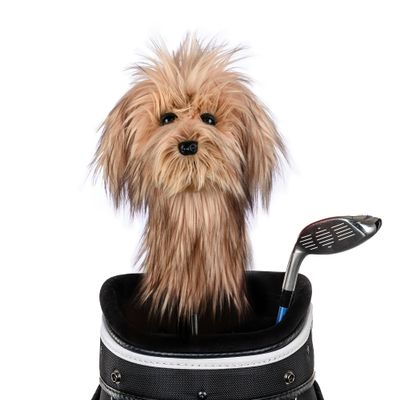 Daphne's Headcovers Scruffy Dog Driver Headcover | Funny Golf Club Covers | Golf Head Covers for Drivers | Stylish Golf Club Head Covers | Golf Driver Covers | Mens & Womens Driver Headcover