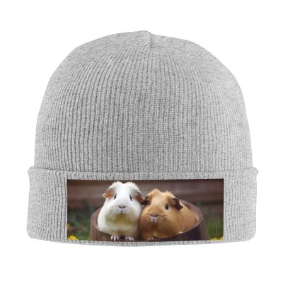 Guinea Pigs Printd Knitted Hat Warm Winter Hats High Elasticity Personalized Knitted Hat Gray