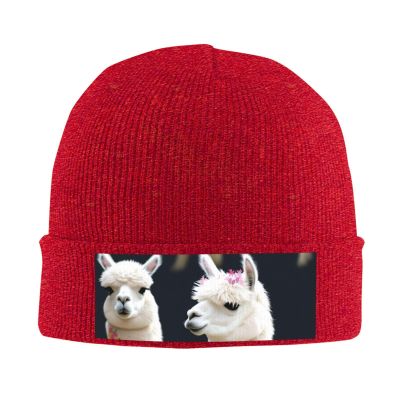 Alpaca Llama Printd Knitted Hat Warm Winter Hats High Elasticity Personalized Knitted Hat Red