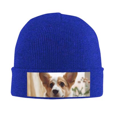 Cute Corgi Cartoon Printd Knitted Hat Warm Winter Hats High Elasticity Personalized Knitted Hat Blue