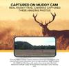Muddy Matrix 36MP Imaging Cellular Trail Camera Photo Bundle (4 Items) view 3