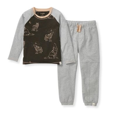 Burt's Bees Baby Baby Boys' Shirt and Pant Set, Top & Bottom Outfit Bundle, 100% Organic Cotton