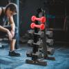 A-Frame Dumbbell Storage Rack with 660 lbs Capacity, Heavy-Duty Steel Dumbbell Stand for Home Gym Equipment Storage,Holds 6 Pairs of Dumbbells view 3