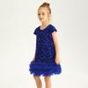 Miipat Toddler Girls Sequin Dress Sparkly Gown Party Dresses Little Kids A-Line Velvet Dress(Blue,5-6Years) view 2