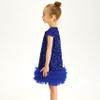 Miipat Toddler Girls Sequin Dress Sparkly Gown Party Dresses Little Kids A-Line Velvet Dress(Blue,5-6Years) view 3