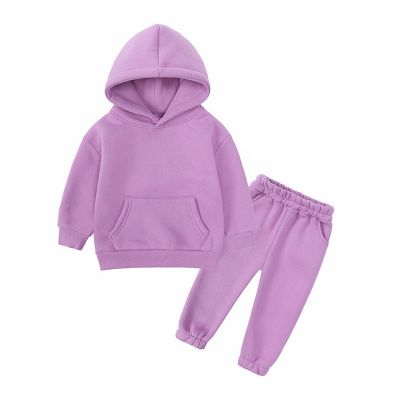 AIMAOMI Girls Tracksuit Clothes Set Casual Pullover Hoodie and Sweatpants Set-Kids Long Sleeve (Purple, 2-3 Years)