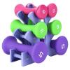 Dumbbells, 6Pcs Hand Fitness Weights Set, Home Gym Exercise Weight Lifting Dumbbell Set, Fitness Weights with Holder Rack view 1