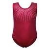 BAOHULU Gymnastics Leotards for Girls Shiny Jewels Kids Athletic Apperal Dance Outfit B199_WineRed_16A view 1