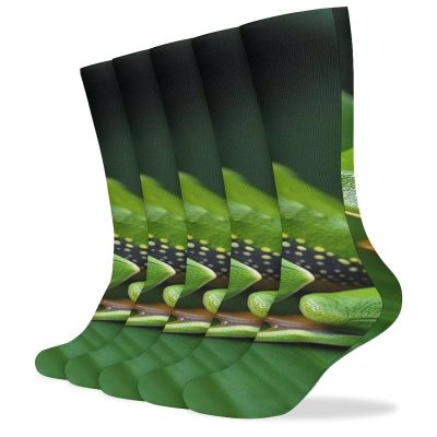 FZMVSLH Animal Frog Green Leaf Leaves Socks for Women Men Cotton Sock Breathable Boot Socks Warm Calf Socks for Hiking Work Crew Socks Thin Casual Long Socks 5 Pairs