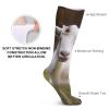FZMVSLH Cute Goat Socks for Women Men Cotton Sock Breathable Boot Socks Warm Calf Socks for Hiking Work Crew Socks Thin Casual Long Socks 5 Pairs view 3