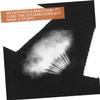 Black Toe Protector Patches Adjustable Support 6pcs for Sports, Precut view 3