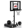 Swimming Pool Basketball Hoop,Adjustable Poolside Basketball Goal with 2 Balls & Inflator Outdoor for Youth Teens Adults view 1