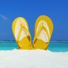 3 Pairs Thong Sandal Toe Guards - Foot Cushions view 3
