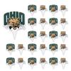 Desert Cactus Ohio University OU Bobcats Food Picks, Cupcake and Cake Toppers, Cake Pop Sticks - 25 Pcs Party Supplies and Decorations view 2