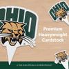 Desert Cactus Ohio University OU Bobcats Food Picks, Cupcake and Cake Toppers, Cake Pop Sticks - 25 Pcs Party Supplies and Decorations view 4