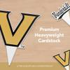 Desert Cactus Vanderbilt University Vandy Commodores Food Picks, Cupcake and Cake Toppers, Cake Pop Sticks - 25 Pcs Party Supplies and Decorations view 4